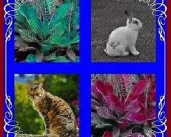 Mosaico i