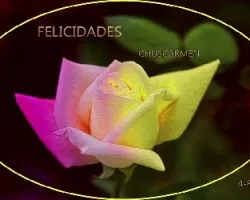 Feliz cumpleaÃ‘os chus