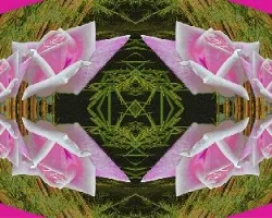 Fantasía ii