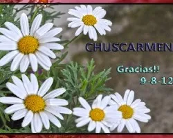Gracias chus
