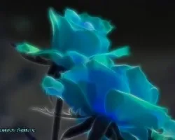 Fractal de rosas en turquesa