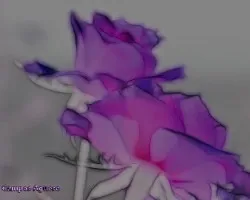 Rosas especiales ii