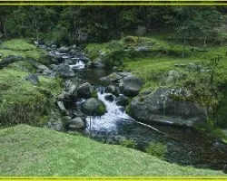 El río savegre