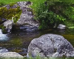 El río savegre