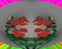 Esfera ii