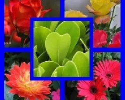 Mosaicos varios