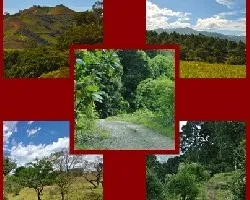 Mosaicos varios i