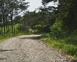 Camino por recorrer