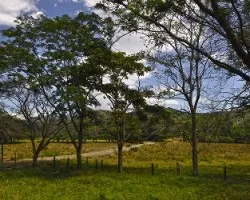 Camino ii