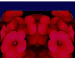 Experimento floral ii