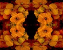 Experimento floral i