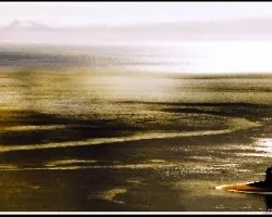 Golfo Dulce Mar 3