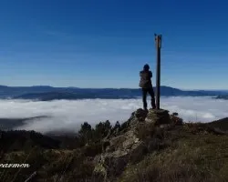 Bajo la niebla