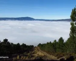 Bajo la niebla
