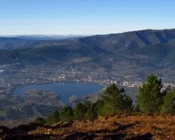Bajo la niebla