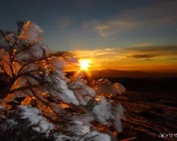 Atardecer en la nieve