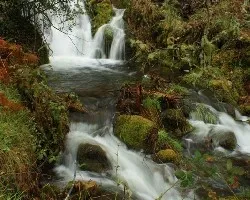 Arroyos