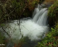 Arroyos