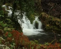 Arroyos