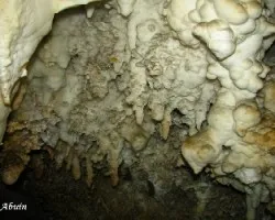 Belleza subterránea