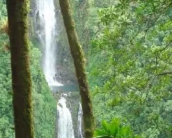 Catarata de la danta