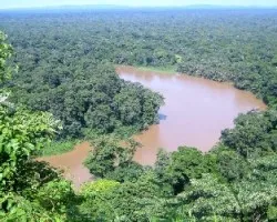 canales de tortuguero