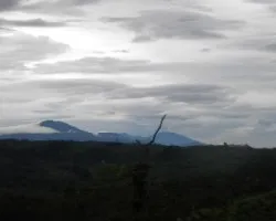 Cordillera de tilarán