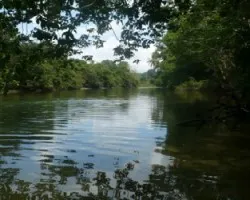 Río sirena, corcovado