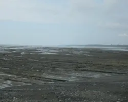 Playa sirena