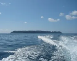 Isla del caño