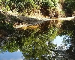Casimba