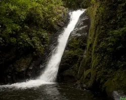 Cascada