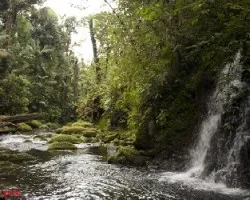 Rio atu