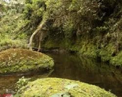 Río atu