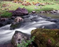 Río Savegre