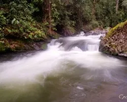 Río Savegre