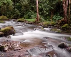 Río Savegre