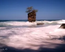 Marea en movimiento