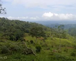 Paisajes de acosta 02