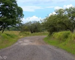 Caminos de guanacaste 