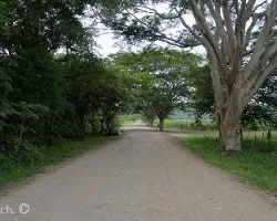 Caminos de guanacaste 