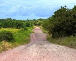 Caminos de guanacaste