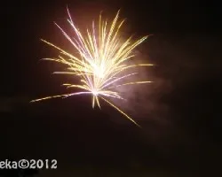 bienvenido2012