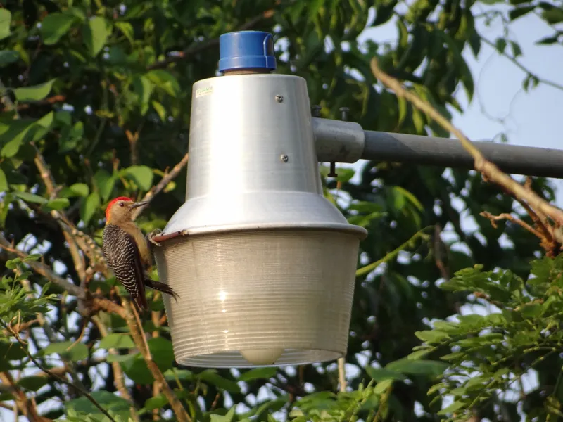Hostales del irta, guatemala