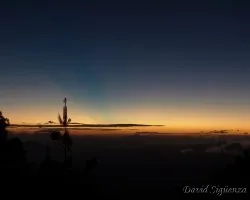 Atardecer