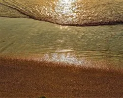 Oro liquido