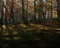 Preparando el otoño