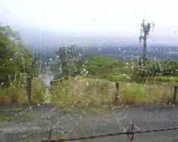 Tela de araña