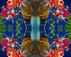 Flores y Hojas