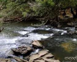 Parque Nacional El Palmar